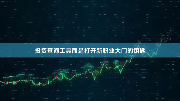 投资查询工具而是打开新职业大门的钥匙