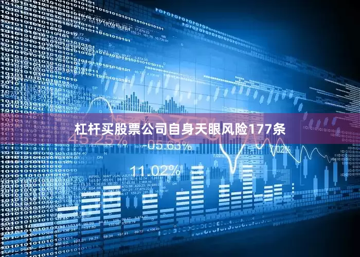 杠杆买股票公司自身天眼风险177条