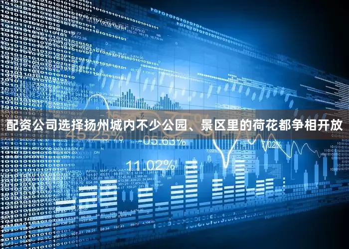 配资公司选择扬州城内不少公园、景区里的荷花都争相开放