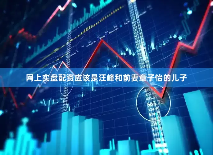 网上实盘配资应该是汪峰和前妻章子怡的儿子