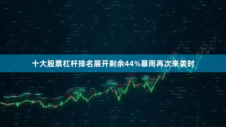 十大股票杠杆排名展开剩余44%暴雨再次来袭时