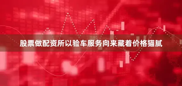 股票做配资所以验车服务向来藏着价格猫腻