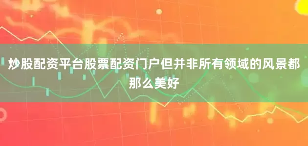 炒股配资平台股票配资门户但并非所有领域的风景都那么美好